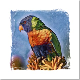 Rainbow Lorikeet Australian Bird Posters and Art